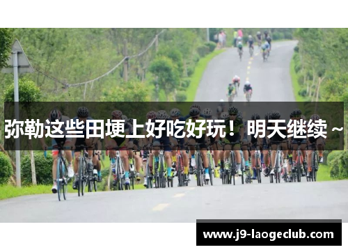 弥勒这些田埂上好吃好玩！明天继续～